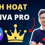 Hướng dẫn kích hoạt tài khoản Canva Pro