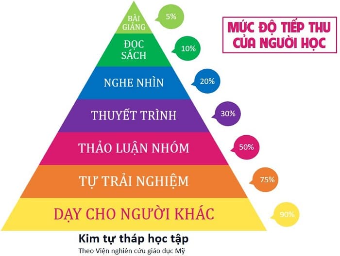 Kim Tự Tháp Học Tập