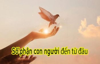 Luận Giải Số Phận Con Người Và Số Mệnh Có Cải Được Không